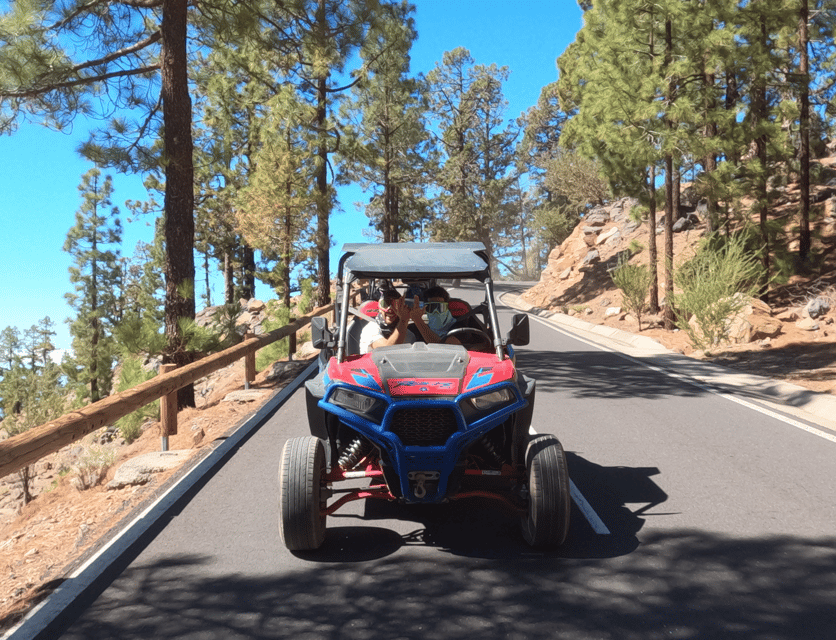 Tenerife: Volcano Teide Buggy Tour with Wine Tasting & Tapas - What the buggy driving is really like