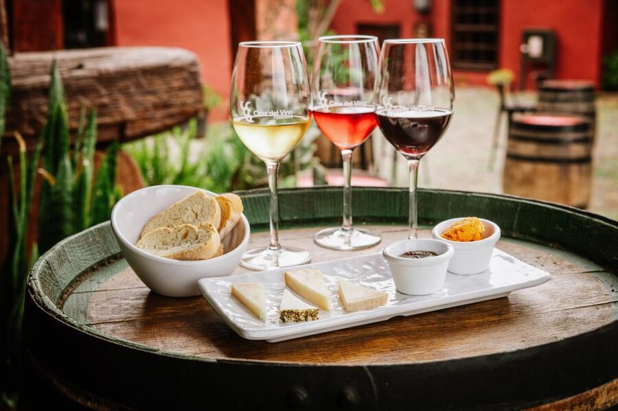 Tenerife: Wine Museum Ticket with Local Wines & Food Tasting - What the Casa del Vino experience is really like