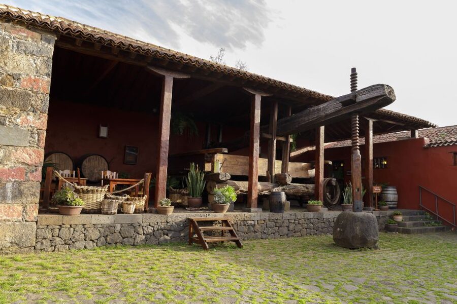 Tenerife: Wine Museum Ticket with Local Wines & Food Tasting - How much value do you get for $18?