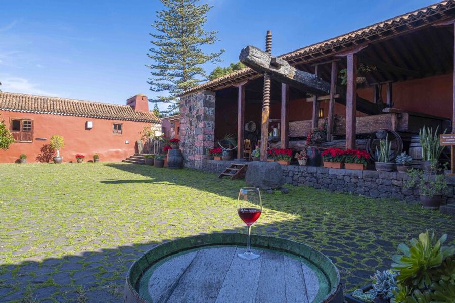 Tenerife: Wine Museum Ticket with Local Wines & Food Tasting - Getting there and planning your visit