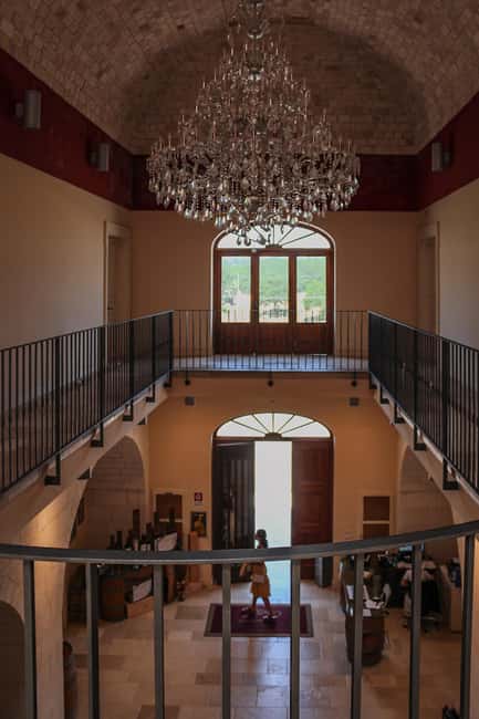 Tenute Girolamo: Winery tour and Premium Tasting in the Itria Valley - Should you book Tenute Girolamo?