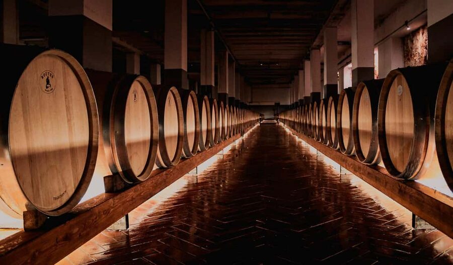Tenute Girolamo: Winery tour and Premium Tasting in the Itria Valley - The 30-minute guided tour: from grape to barrel