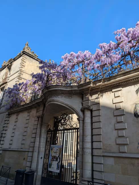 The Best of Bordeaux Walking Tour + 1 Glass of Wine - Cathédrale Saint-André and Bordeaux’s first lesson