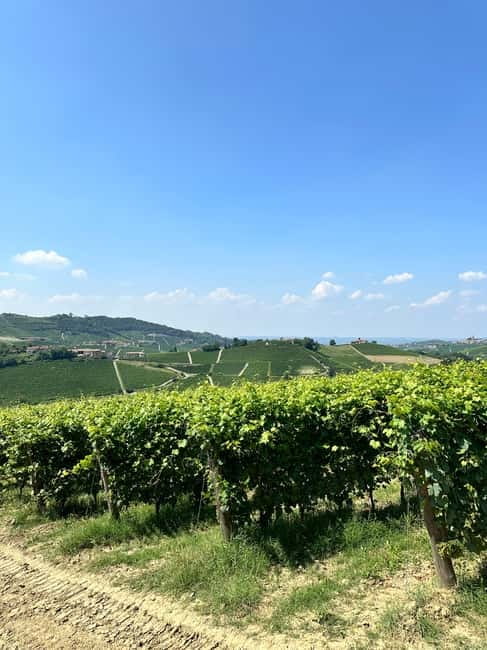 The Best of the Langhe: Wine Tasting & Traditional Meal - Why this Langhe pairing works