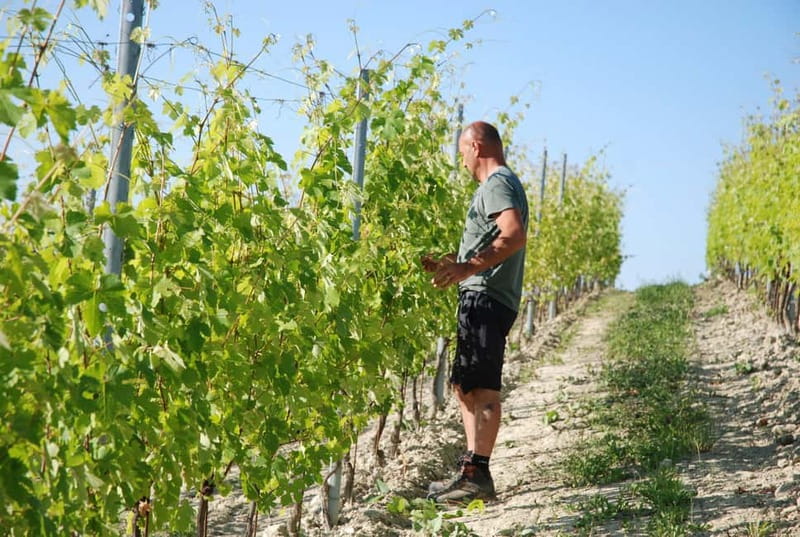 The Best of the Langhe: Wine Tasting & Traditional Meal - Starting at Podere Gagliassi