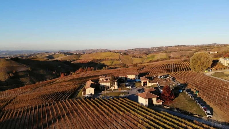 The Best of the Langhe: Wine Tasting & Traditional Meal - Inside the cellar and tasting room
