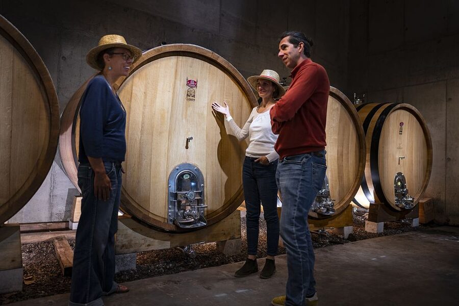 The Châteaux of Grès de Montpellier & Wine Tasting - What the tasting is really worth