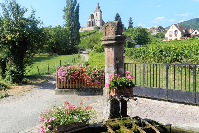 The Emblematic: visit of villages, Haut-Koenigsbourg, Wine tasting - Hunawihr and its fortified church