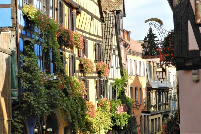 The Emblematic: visit of villages, Haut-Koenigsbourg, Wine tasting - The Alsace Wine Route and a family cellar
