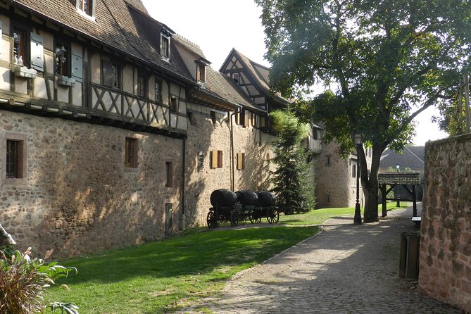The Emblematic: visit of villages, Haut-Koenigsbourg, Wine tasting - The guides shape the day
