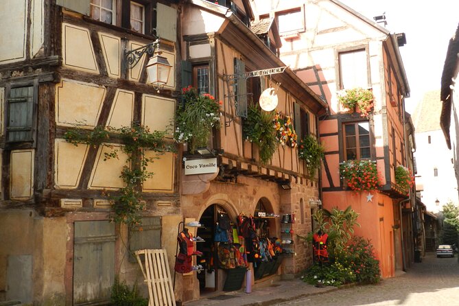 The Emblematic: visit of villages, Haut-Koenigsbourg, Wine tasting - Transport, group size, and physical effort