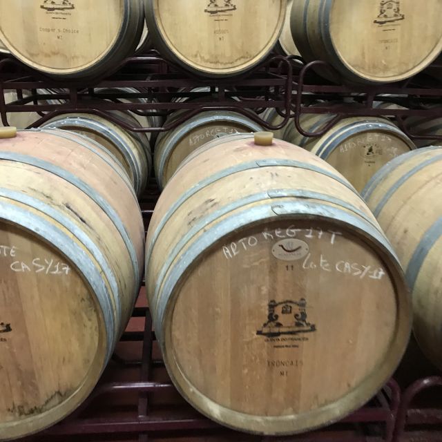 The Real Algarve: 2 Boutique Wineries & Silves Tour - Two boutique wineries, six wines, and a useful comparison