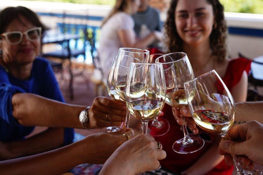 The Real Algarve: 2 Boutique Wineries & Silves Tour - Quinta do Francês and the afternoon tasting
