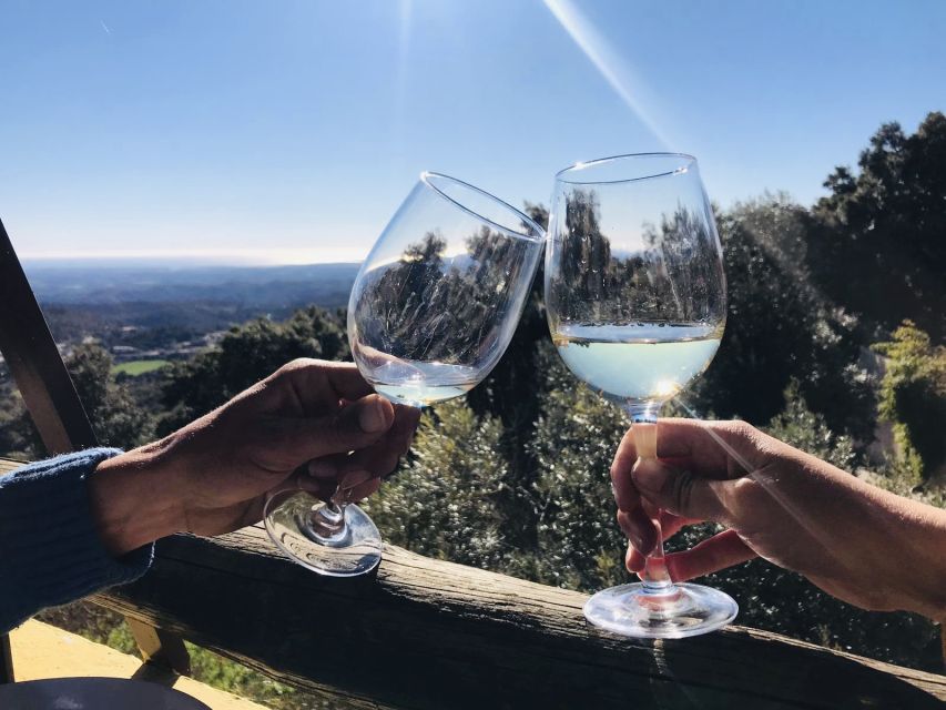 The Real Algarve: 2 Boutique Wineries & Silves Tour - Heat, comfort, and the practical details