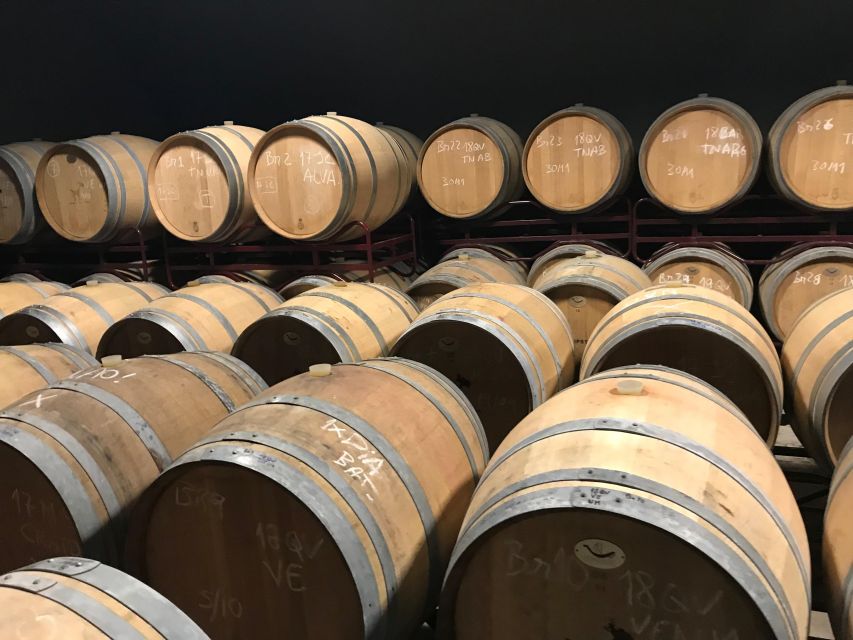The Real Algarve: 2 Boutique Wineries & Silves Tour - The first winery in Lagoa