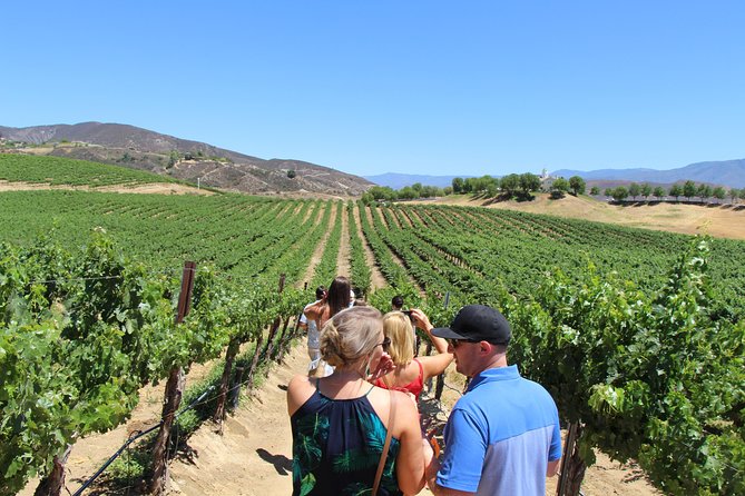 The Shared Temecula Wine Tour from Anaheim - Somerset starts the tasting with a production tour