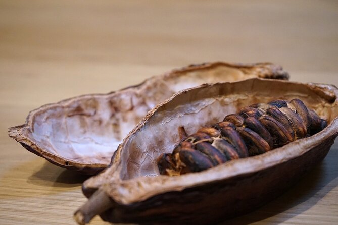 The Turin Chocolate & Wine Tasting Experience - Six chocolates, from bean to bar to gianduiotto