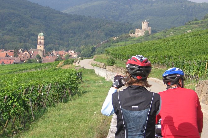 Through Alsace Vineyards and Wine Villages Private Bike Tour - Why a bike is the right way to see Alsace wine country