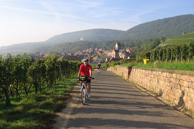 Through Alsace Vineyards and Wine Villages Private Bike Tour - Gueberschwihr and the secrets of Saint-Pantaleon