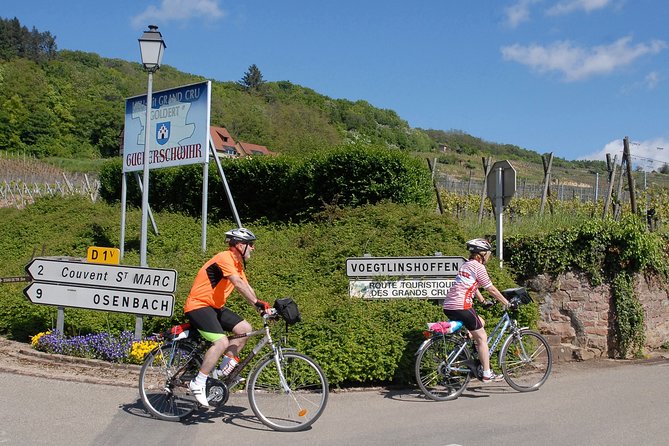 Through Alsace Vineyards and Wine Villages Private Bike Tour - What Glenn adds to the ride