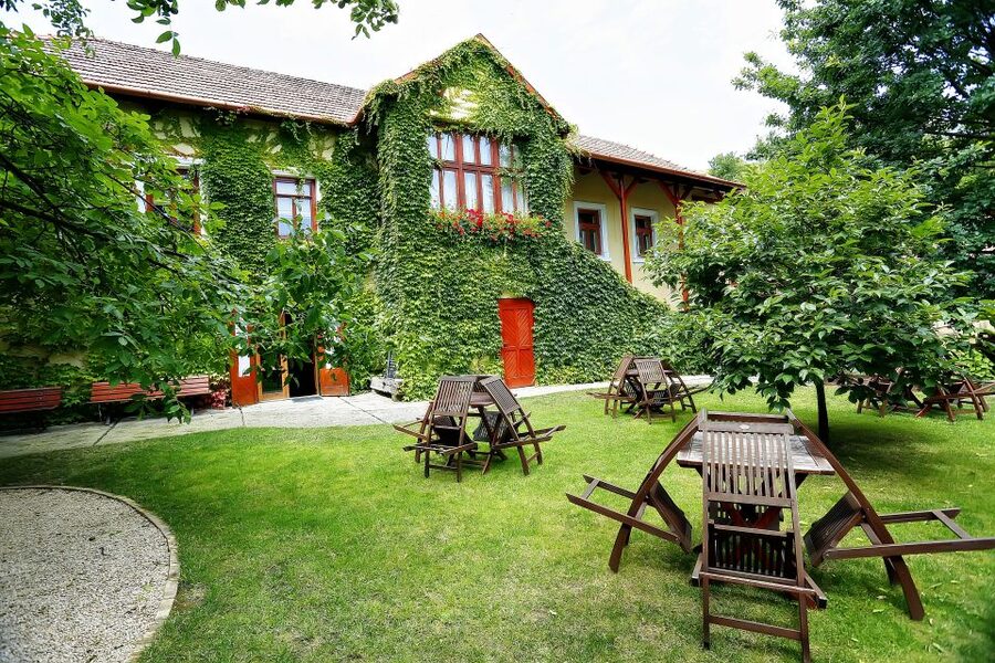 Tokaj: Classic Wine Tasting - Cheese, Bread, Olives, and a Better Pace
