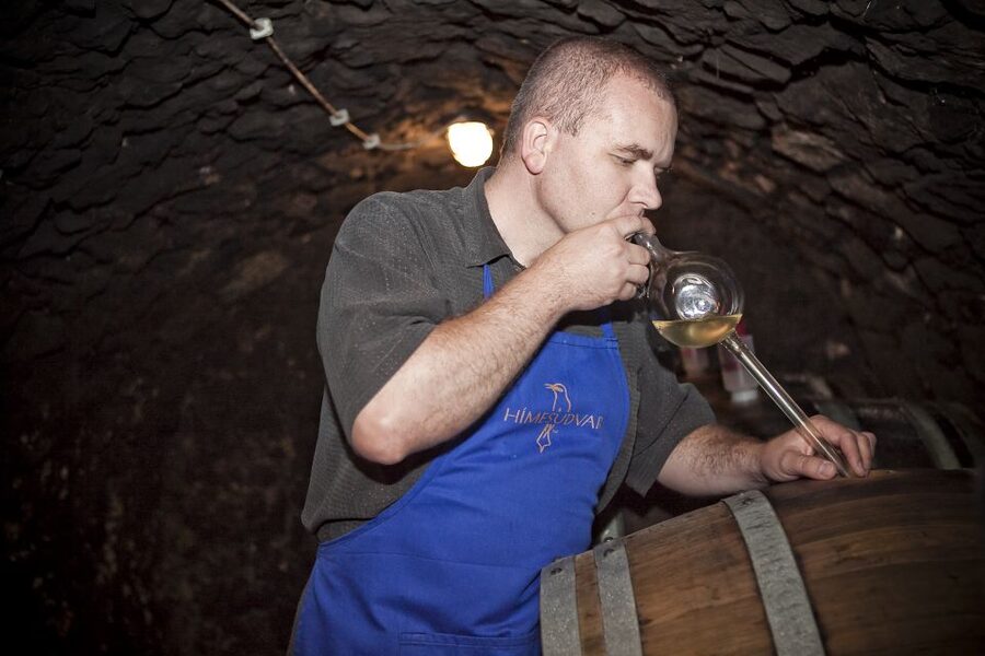 Tokaj: Classic Wine Tasting - What the 1.5-Hour Schedule Really Gives You