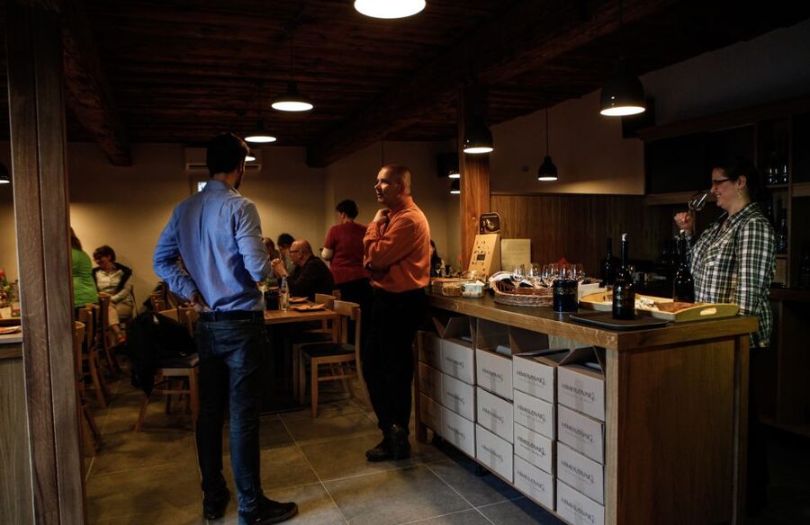 Tokaj: Classic Wine Tasting - The Atmosphere: Friendly, Small-Scale, and Unhurried