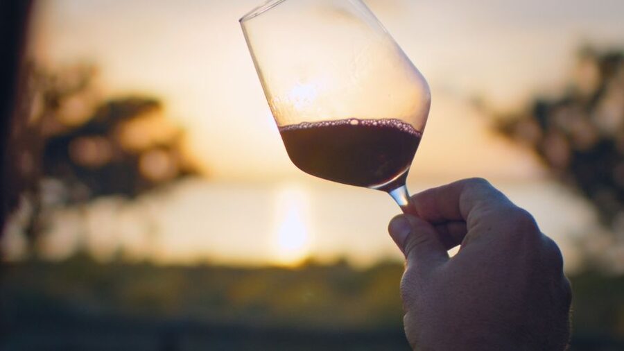 Torrevieja: Local Wine and Food Tasting Tour in La Mata Park - Key points to know before booking