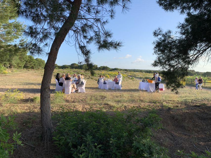 Torrevieja: Local Wine and Food Tasting Tour in La Mata Park - The lagoon viewpoint and birdwatching pause
