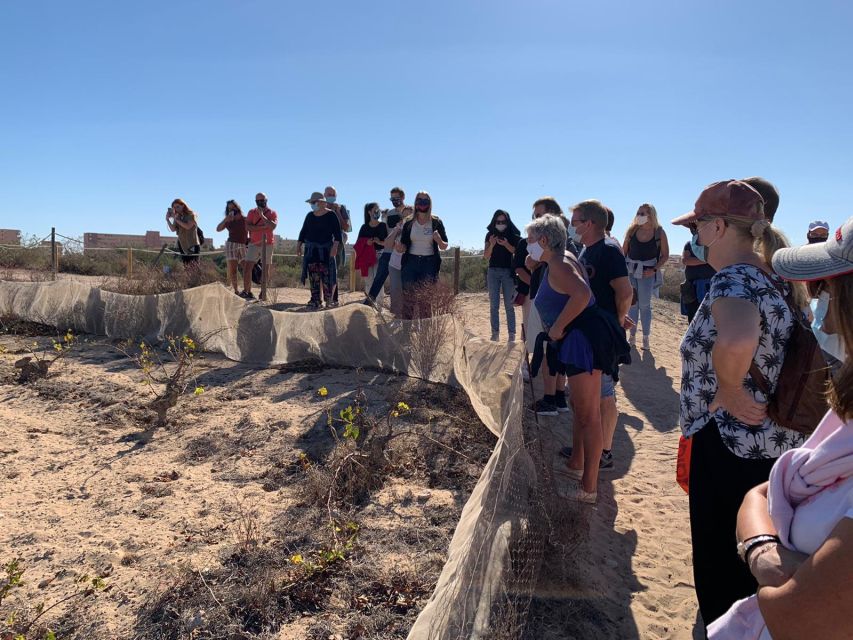 Torrevieja: Local Wine and Food Tasting Tour in La Mata Park - Accessibility and route conditions