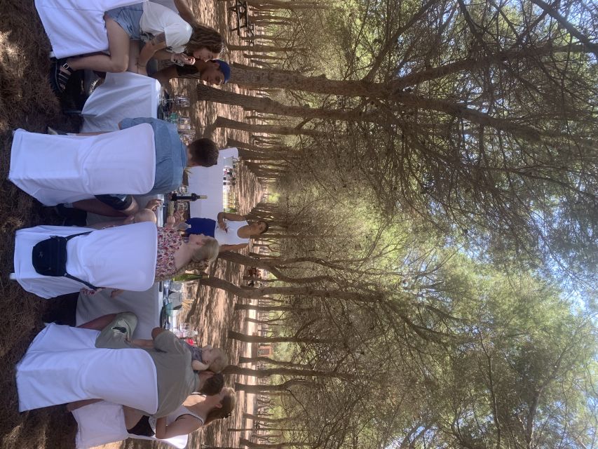 Torrevieja: Local Wine and Food Tasting Tour in La Mata Park - A small 15th-century reminder of the past