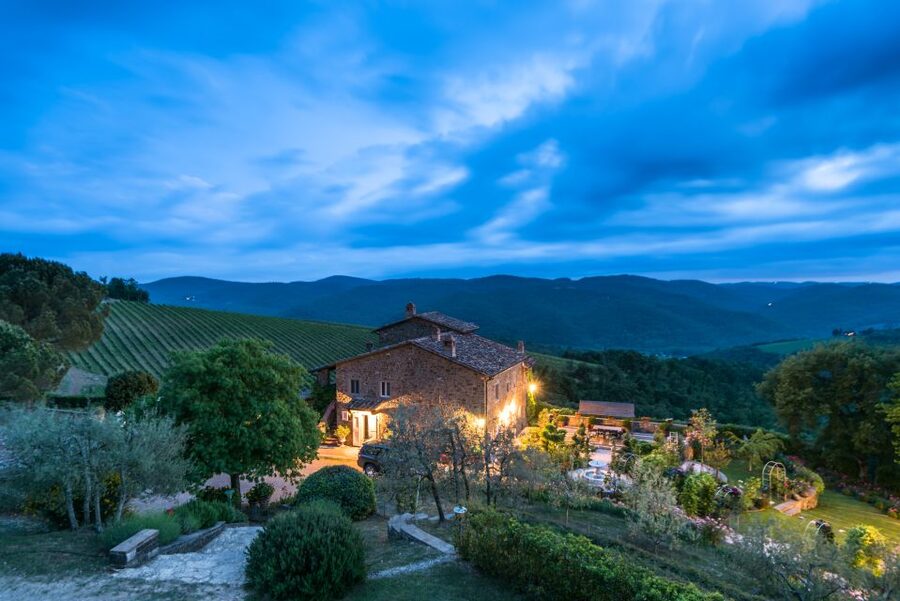 Total Immersion Wine Tour in Chianti - Key points to know before you go