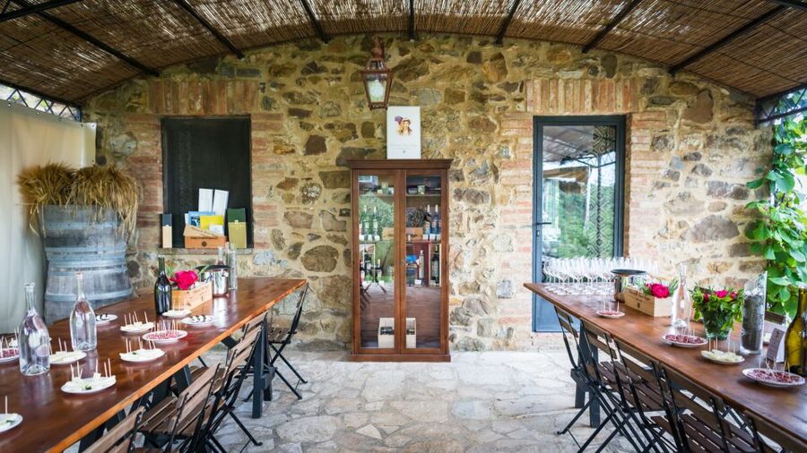 Total Immersion Wine Tour in Chianti - Timing, weather, and practical planning