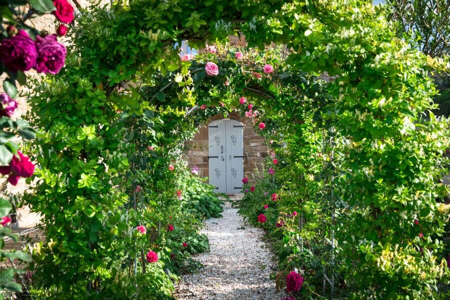 Total Immersion Wine Tour in Chianti - Why this Chianti tour feels different