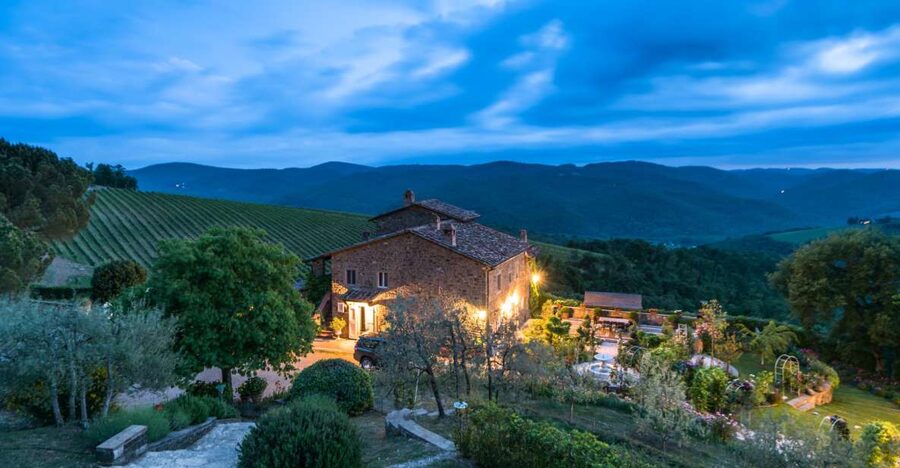 Total Immersion Wine Tour in Chianti - Walking through organic farming