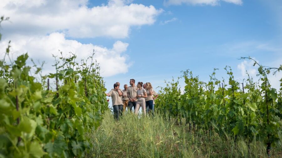 Total Immersion Wine Tour in Chianti - The tasting room and mini wine lesson