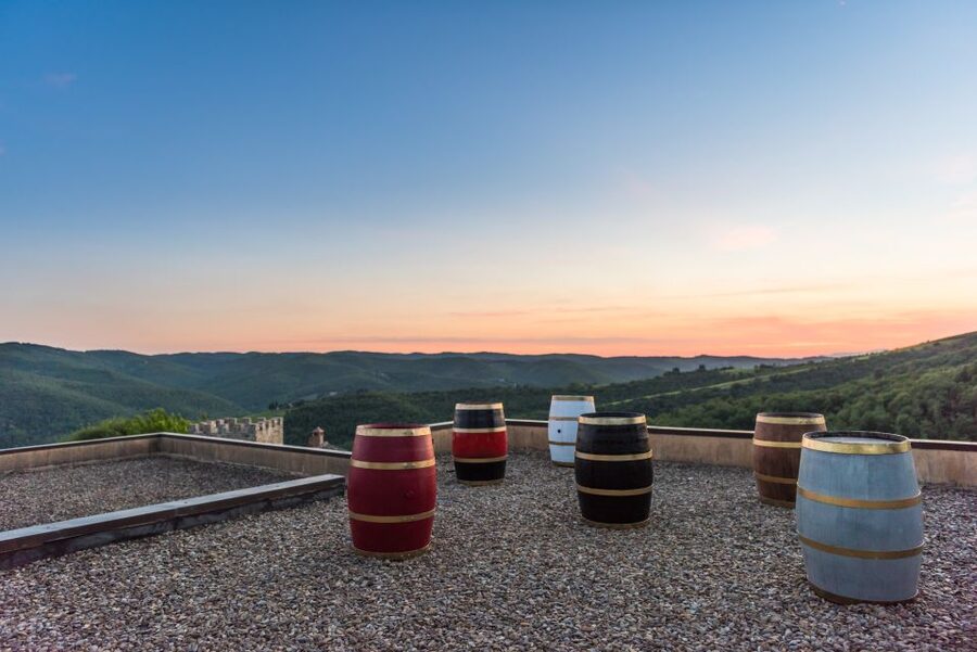 Total Immersion Wine Tour in Chianti - Who should book this experience?