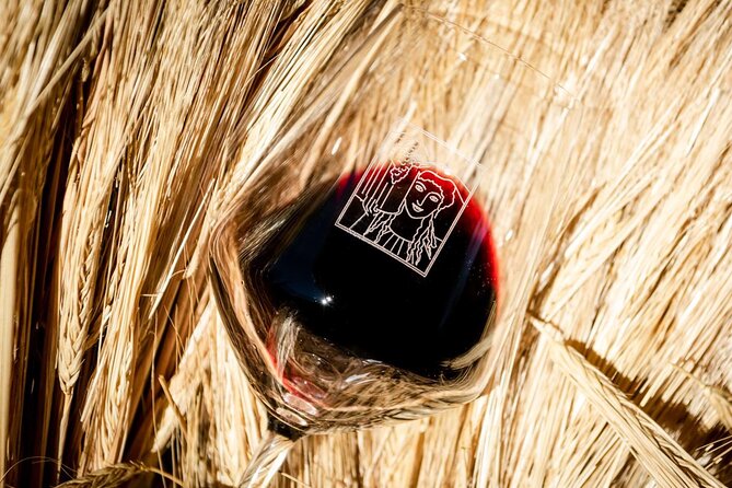 Tour and Tasting at an Organic Winery in the Heart of Chianti Classico Area - The tasting: wine, olive oil, and Tuscan snacks