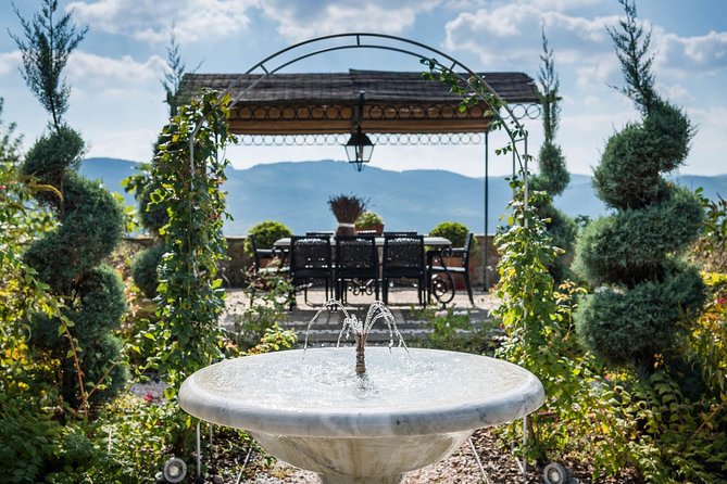 Tour and Tasting at an Organic Winery in the Heart of Chianti Classico Area - The guide makes the difference