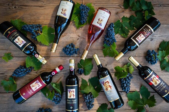 Tour and Tasting at an Organic Winery in the Heart of Chianti Classico Area - Price and value at $48.36