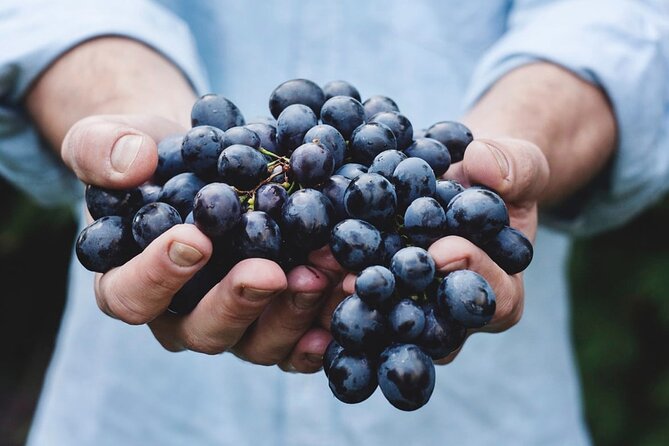 Tour Etna & Wine Tasting - Why this Etna day works so well