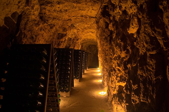 Tour of a Vineyard, Winery & Cellar with Wine Tasting in Vouvray, Loire Valley - Inside the winery and the rock-hewn cellar