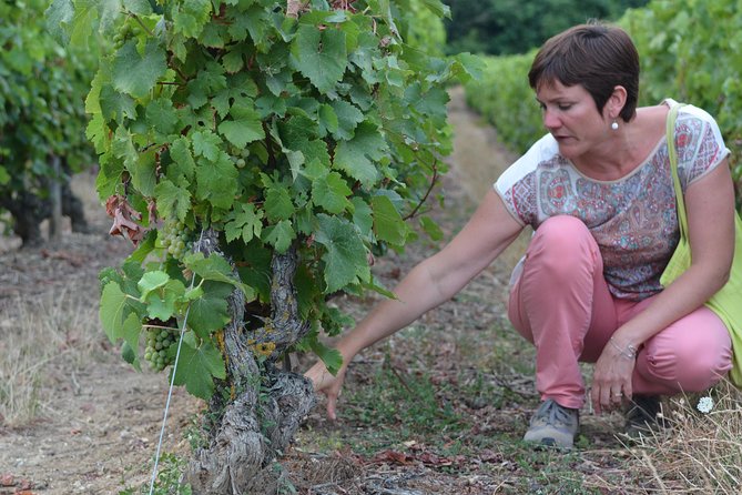Tour of a Vineyard, Winery & Cellar with Wine Tasting in Vouvray, Loire Valley - Myriam Fouasse-Robert makes the visit personal