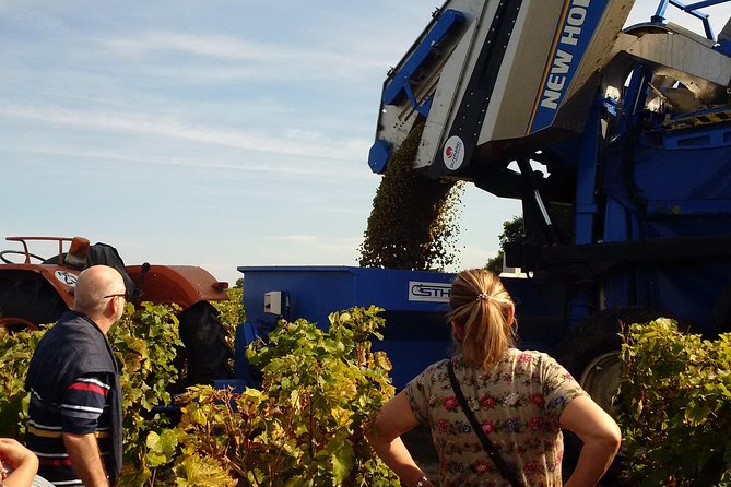 Tour of a Vineyard, Winery & Cellar with Wine Tasting in Vouvray, Loire Valley - Getting to the vineyard in Chançay