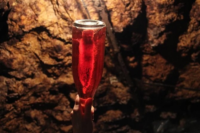 Tour of a Vineyard, Winery & Cellar with Wine Tasting in Vouvray, Loire Valley - Who should book this Vouvray experience?