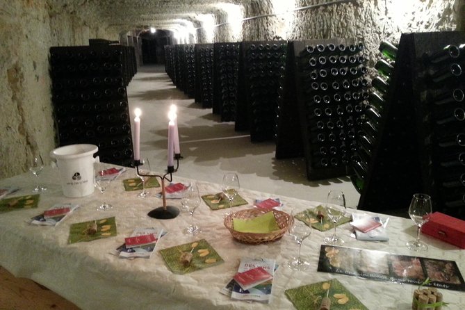 Tour of a Vineyard, Winery & Cellar with Wine Tasting in Vouvray, Loire Valley - Walking the Vouvray vines