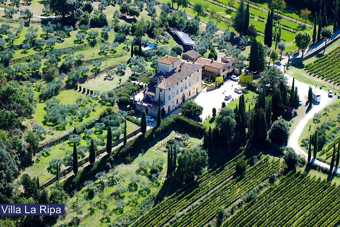Tour through the vineyards and wine and olive oil tasting in Tuscany - Arriving at Villa La Ripa near Arezzo