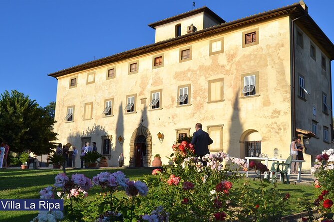 Tour through the vineyards and wine and olive oil tasting in Tuscany - Walking the vineyards, weather permitting