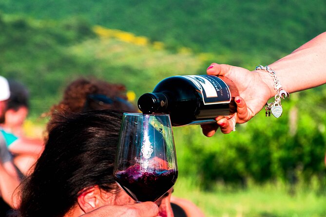 Tour through the vineyards and wine and olive oil tasting in Tuscany - Four wines, with room to compare