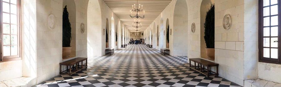 Tours/Amboise: Chambord, Chenonceau Day Trip & Wine Tasting - Two famous castles, one very full day